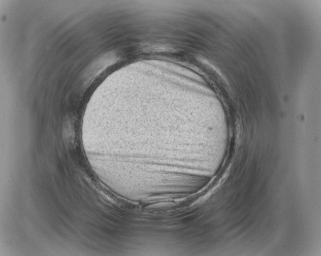 X0000086031305200704201936