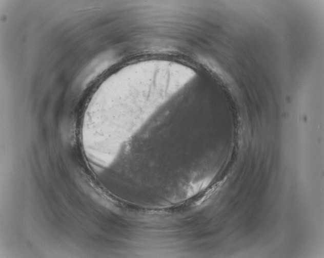 X0000086031306200704201936