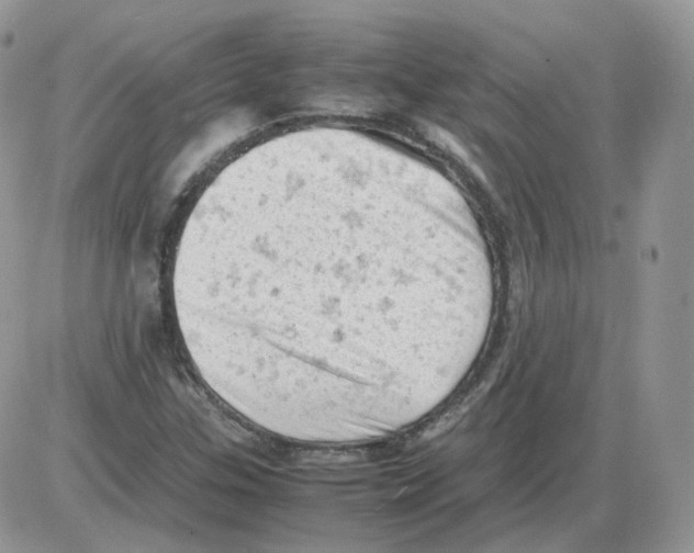 X0000086031307200704201936