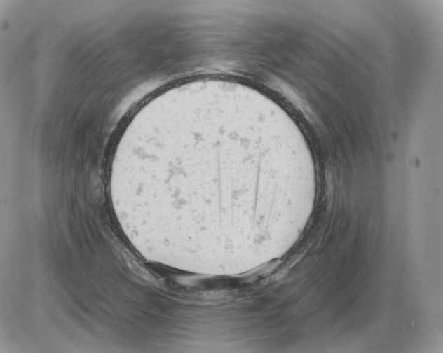 X0000086031308200704201936