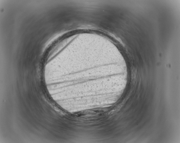 X0000086031311200704201936