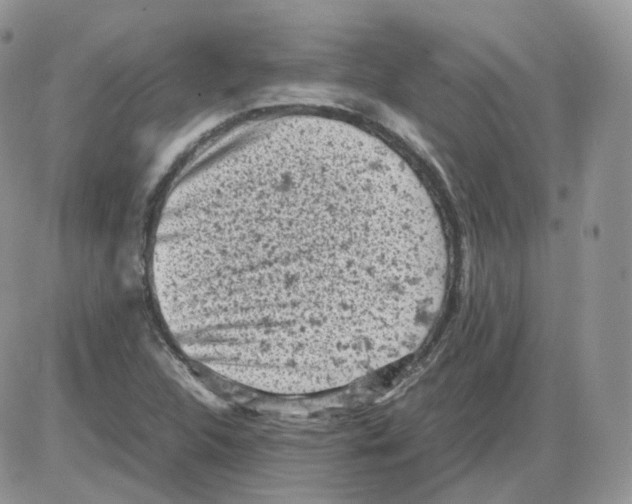 X0000086031312200704201936