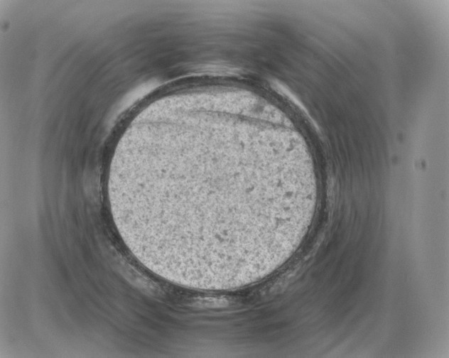 X0000086031315200704201936