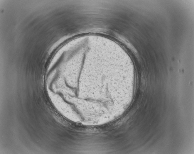 X0000086031316200704201936