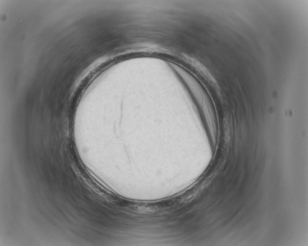 X0000086031318200704201936