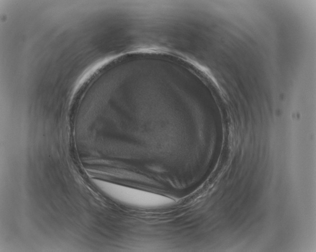 X0000086031319200704201936