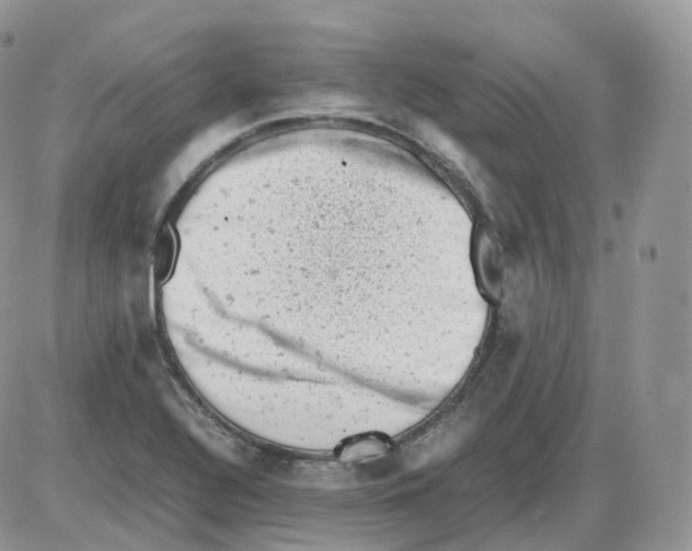 X0000086031320200704201936