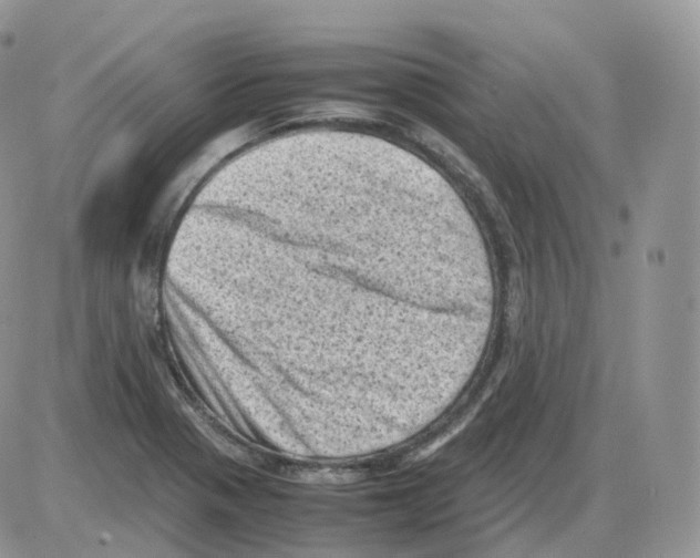 X0000086031321200704201936