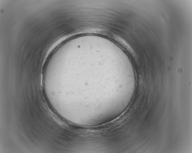 X0000086031324200704201936