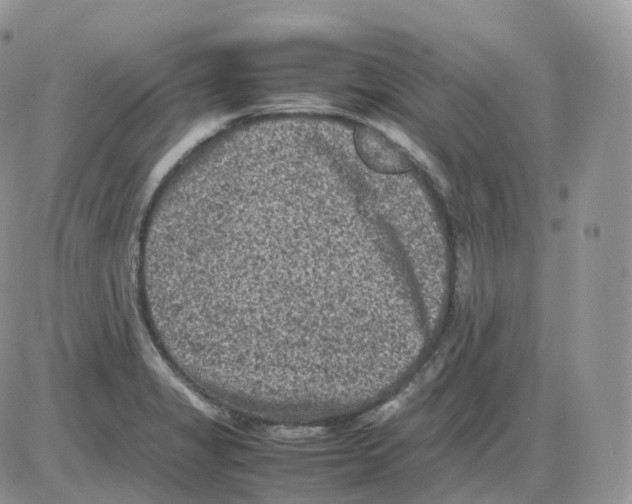 X0000086031325200704201936