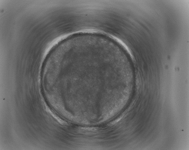 X0000086031327200704201936