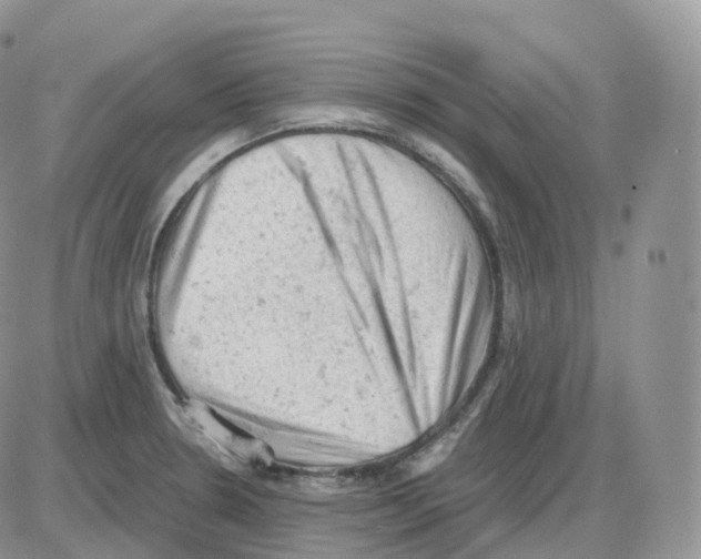 X0000086031330200704201936