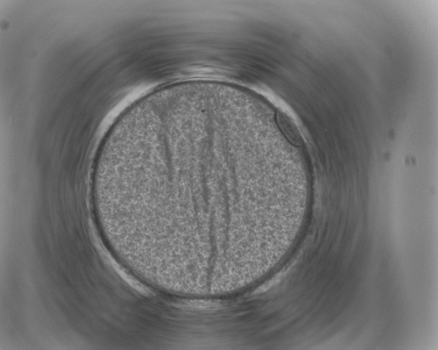 X0000086031333200704201936