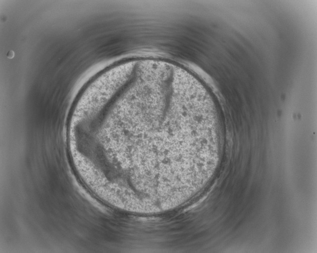 X0000086031335200704201936