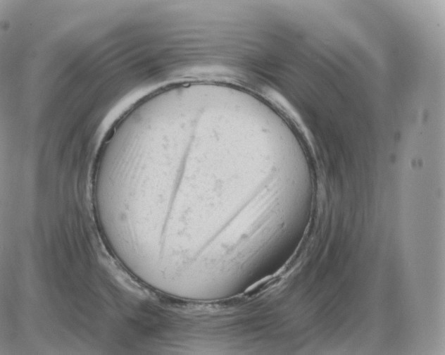 X0000086031336200704201937