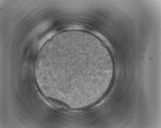 X0000086031337200704201937