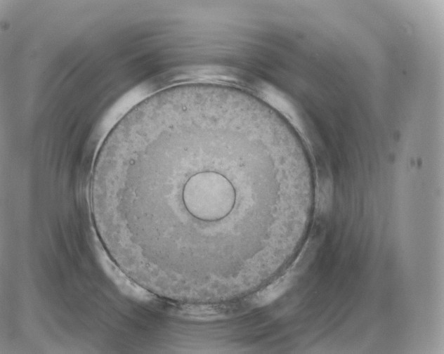 X0000086031338200704201937