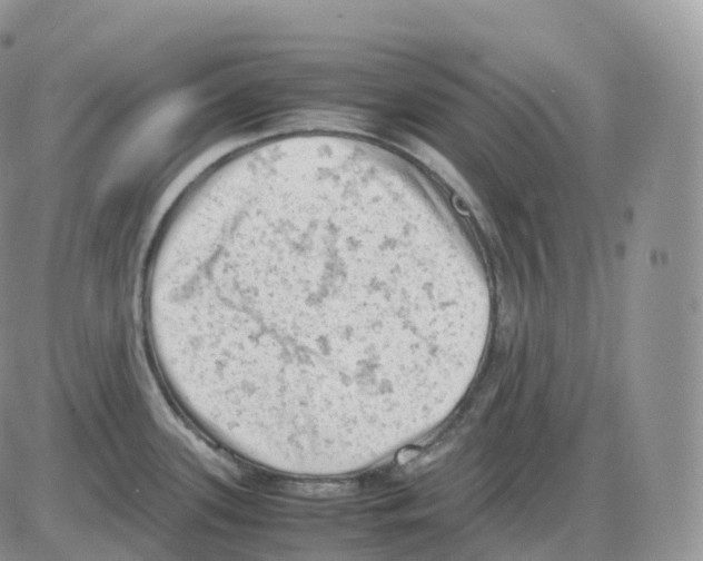 X0000086031339200704201937