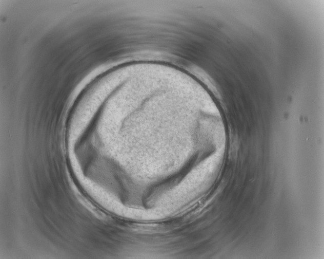 X0000086031342200704201937