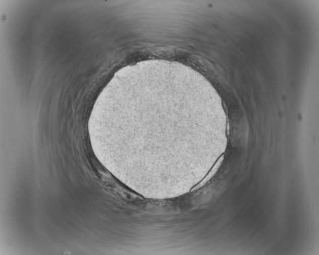 X0000086031345200704201936