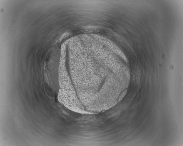 X0000086031346200704201936