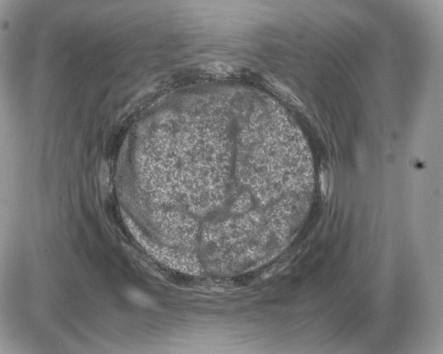 X0000086031347200704201936