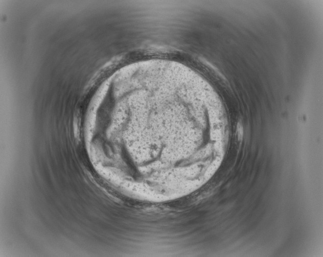 X0000086031348200704201936