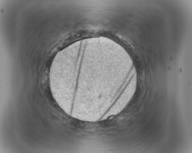 X0000086031349200704201936