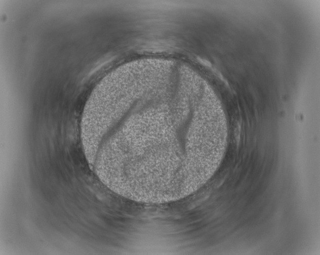 X0000086031350200704201936