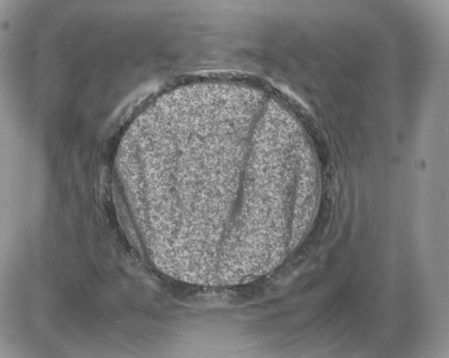 X0000086031351200704201936