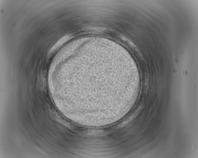 X0000086031354200704201936