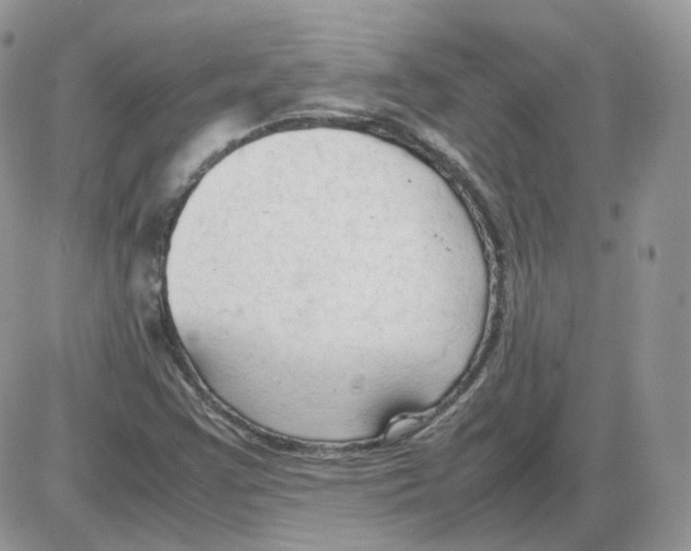 X0000086031355200704201936