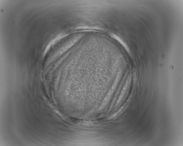 X0000086031357200704201936