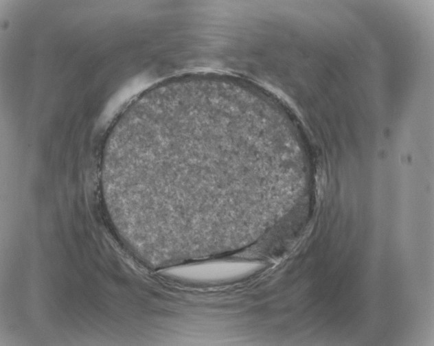 X0000086031359200704201936