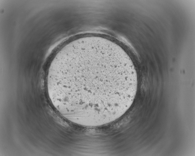 X0000086031360200704201936