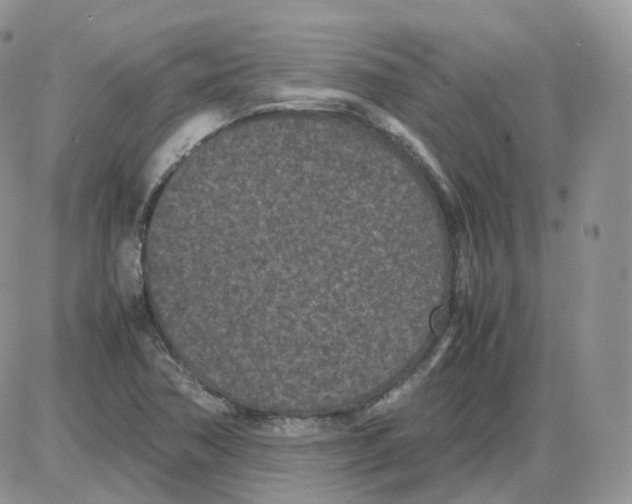 X0000086031362200704201936