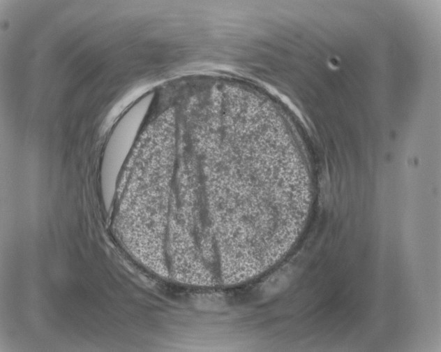 X0000086031363200704201936