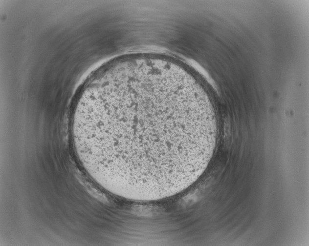 X0000086031364200704201936