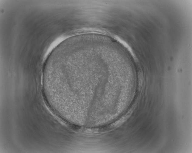 X0000086031365200704201936