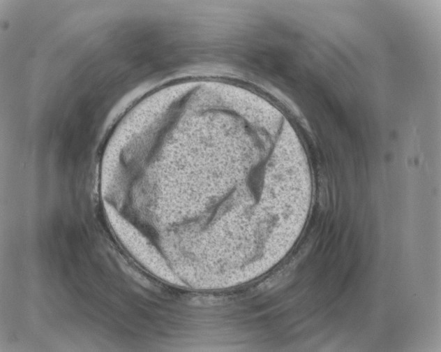 X0000086031366200704201936