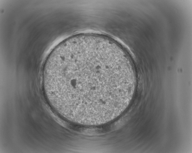 X0000086031367200704201936