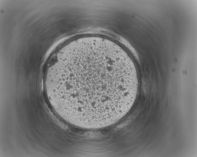 X0000086031368200704201935