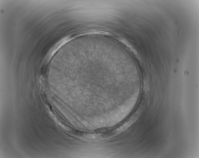 X0000086031369200704201935