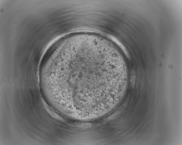 X0000086031372200704201935