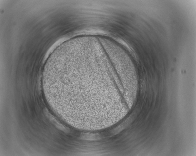 X0000086031374200704201935