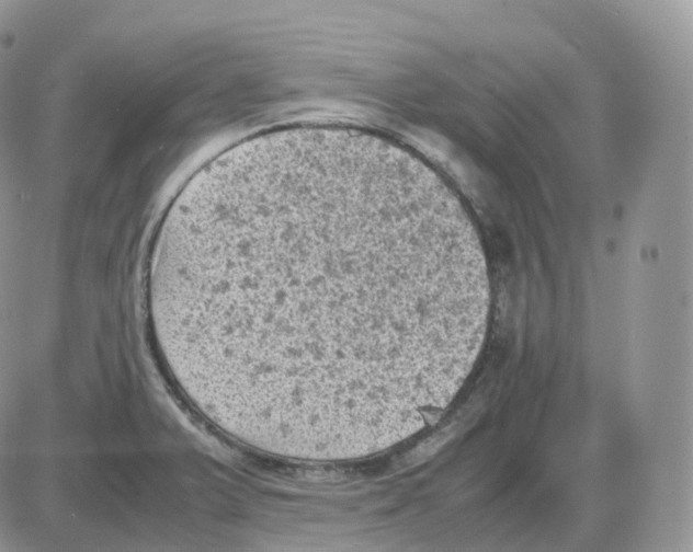 X0000086031375200704201935