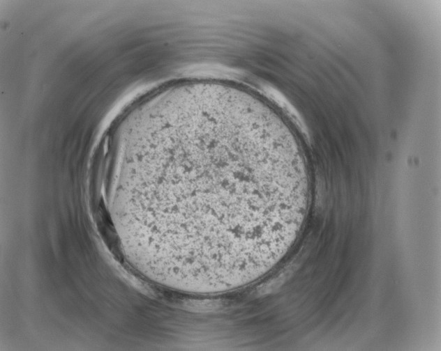 X0000086031376200704201935