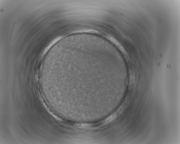 X0000086031377200704201935