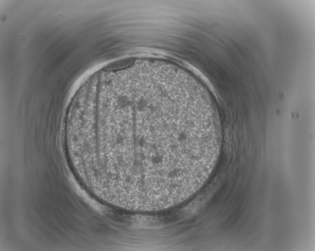 X0000086031379200704201935