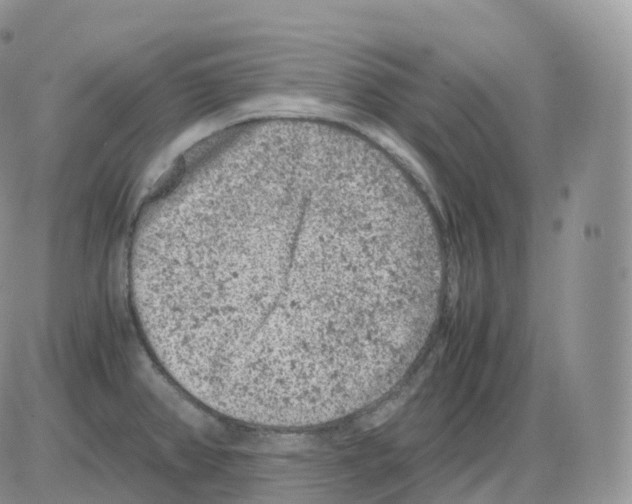 X0000086031382200704201935